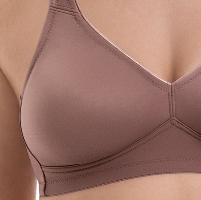 Anita Rosa Faia Twin Seamless, Wire-free Bra - Berry - 5493