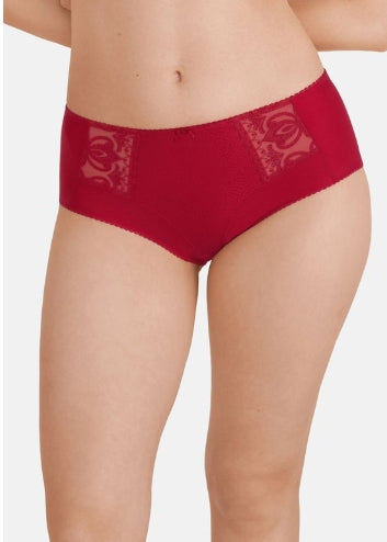 Felina Red Lace High-Waisted Panties - size 6
