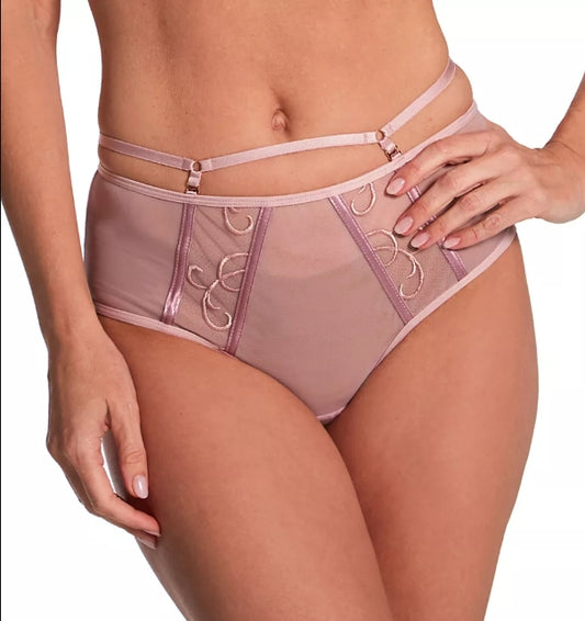 The Fit Fully Yours Alexa See-Thru Bikini Panty - Vintage Rose - U2152