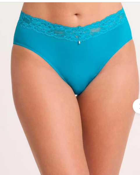 Montelle Intimates Lace Trim Brief Panties - 9004