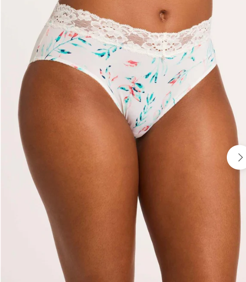 Montelle Intimates Lace Trim Brief Panties - 9004