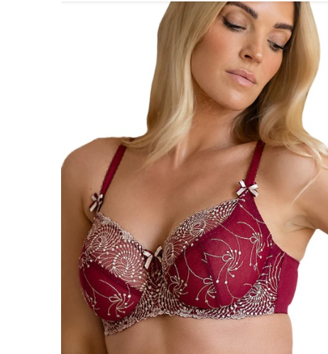 Fit Fully Yours Nicole See-Thru Bra